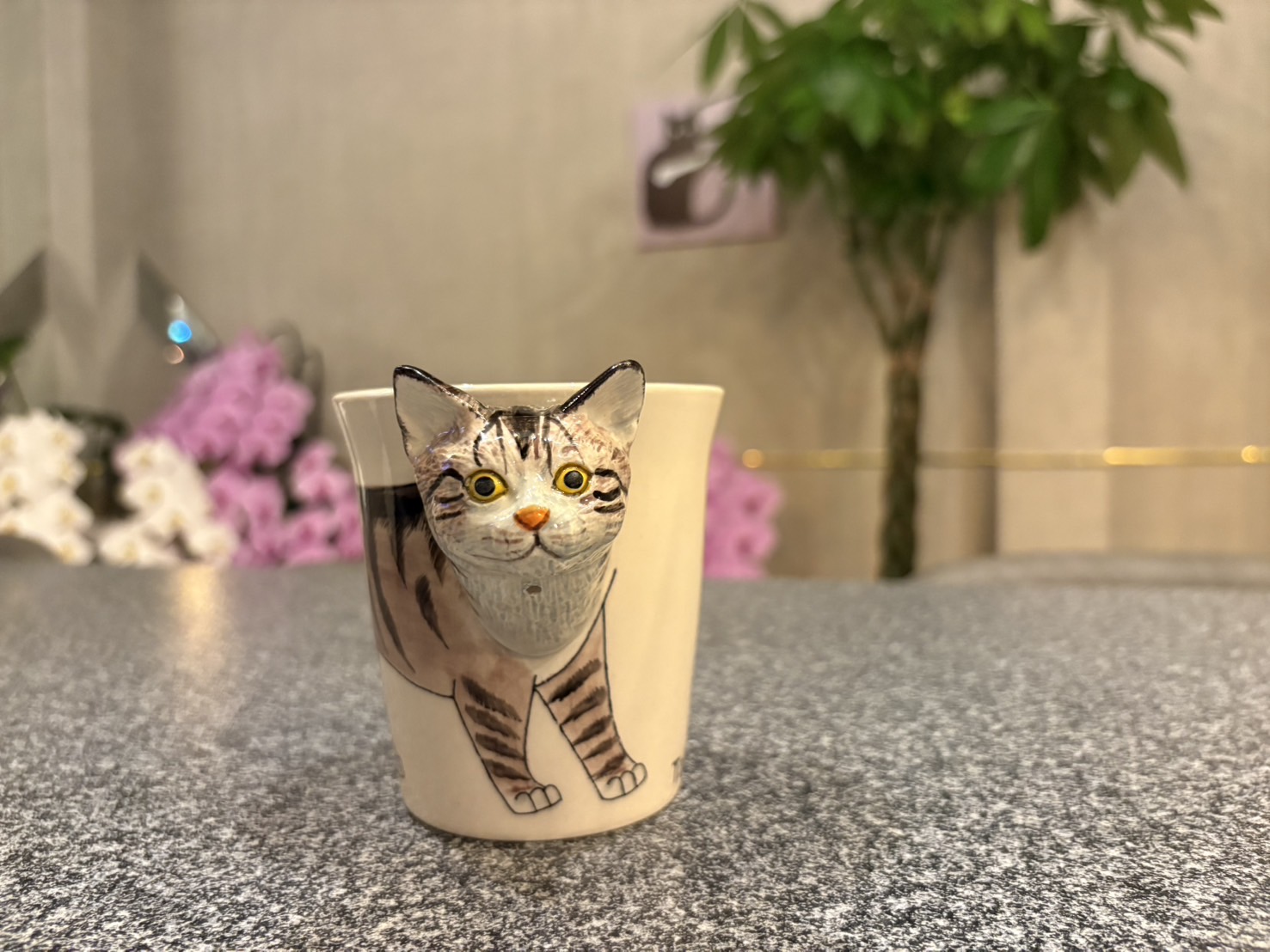 猫灯里の写真6